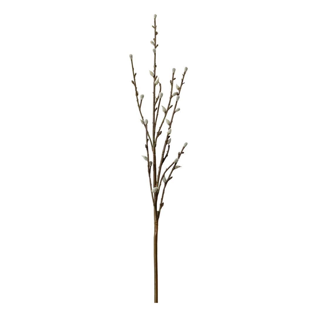 Fleur Willow Branch