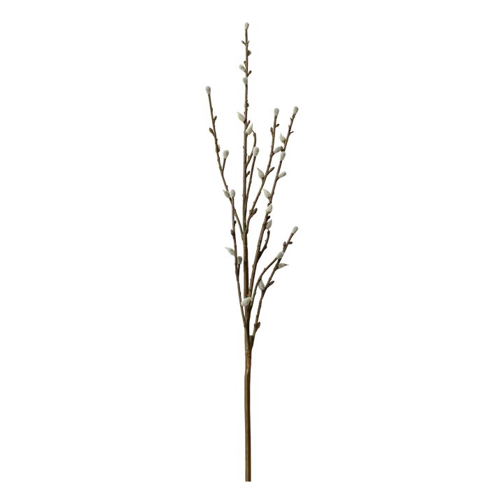 Fleur Willow Branch