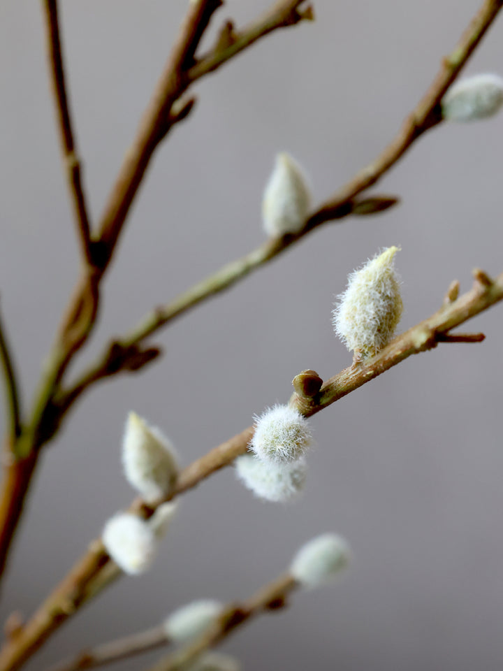 Fleur Willow Branch