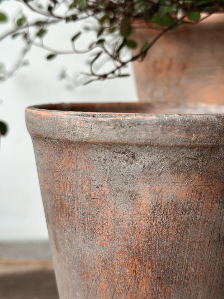 Terracota Long Pot w/ plate - Antique look