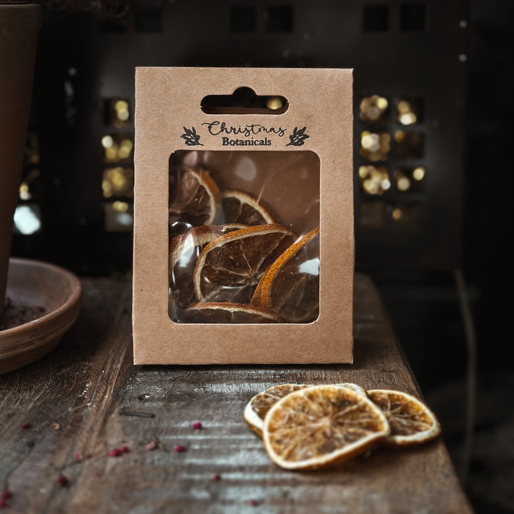 Chritsmas Botanicals - 10 Dried Oranges Slices